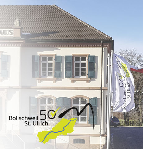 birke-webdesign-grafik-logoentwicklung-bollschweil-stulrich